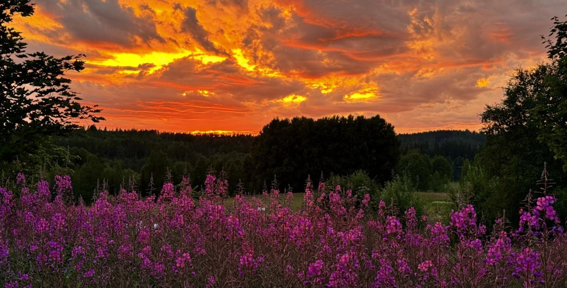 Noretjaerns Stugby อัวแยง ภายนอก รูปภาพ